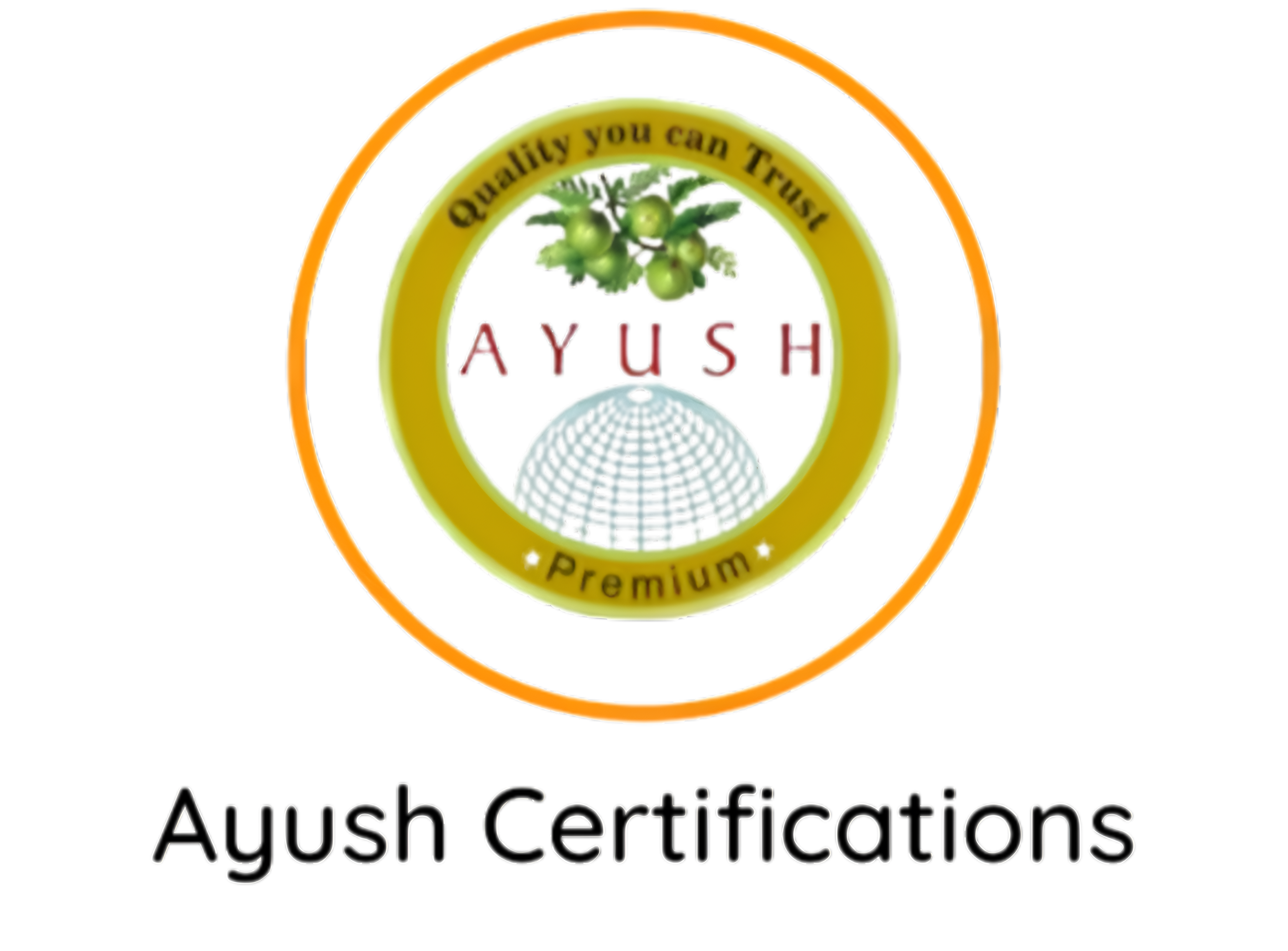 Certification Logo